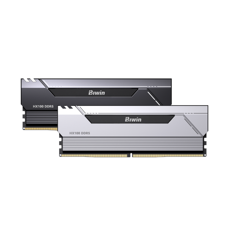 Black Opal HX100 DDR5 Heatsink Memory